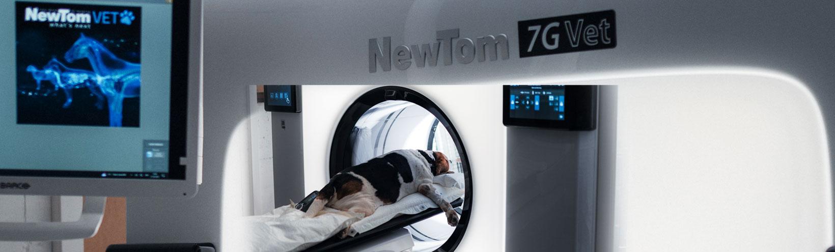 Computertomograph in der Tierarztpraxis Theurl mit Hund